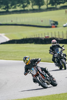 Lower Group Multicolour Bikes